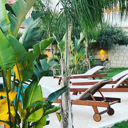 Triangulo 알라카티