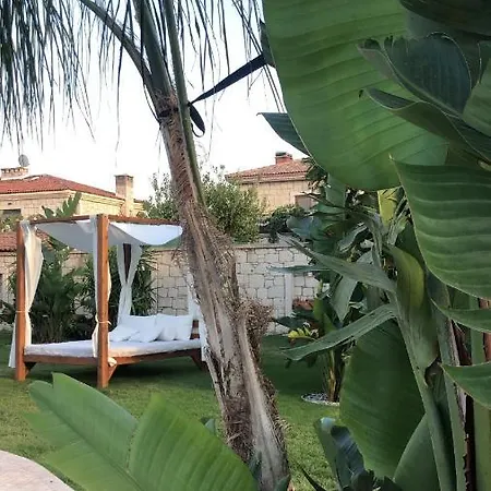 Triangulo 2* 알라카티