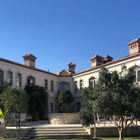 Triangulo 2* 알라카티