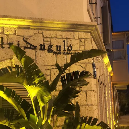 Triangulo