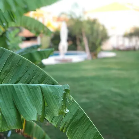 Triangulo 2* Alaçatı