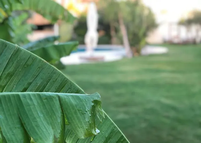 Triangulo 2* Alaçatı